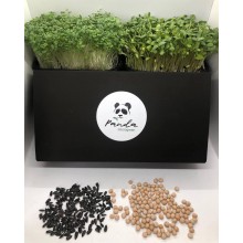 Набір для вирощування мікрозелені Panda microgreen Black на 10 врожаїв