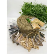 Набір для вирощування мікрозелені Panda microgreen на 14 врожаїв (7 видів культур)