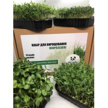Набір для вирощування мікрозелені Panda microgreen на 14 врожаїв (ТОП 10 видів культур)